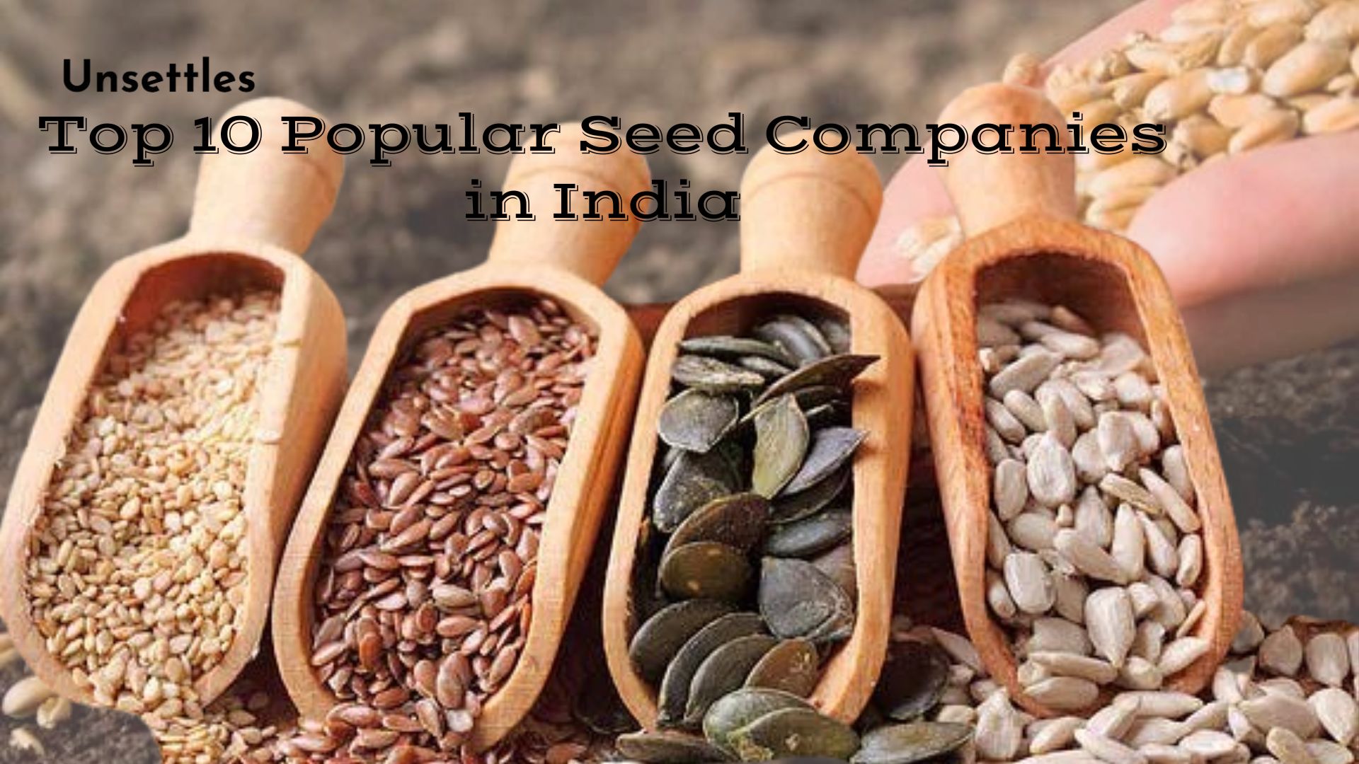 Top 10 Popular Seed Companies in India