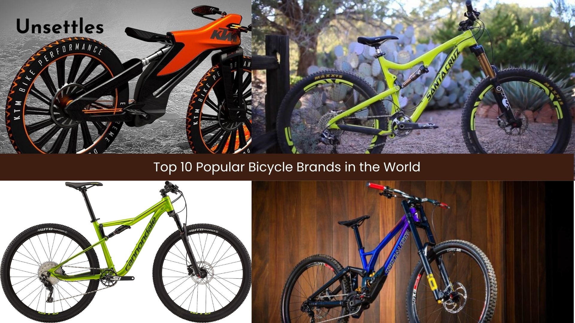 Top 10 Popular Bicycle Brands in the World