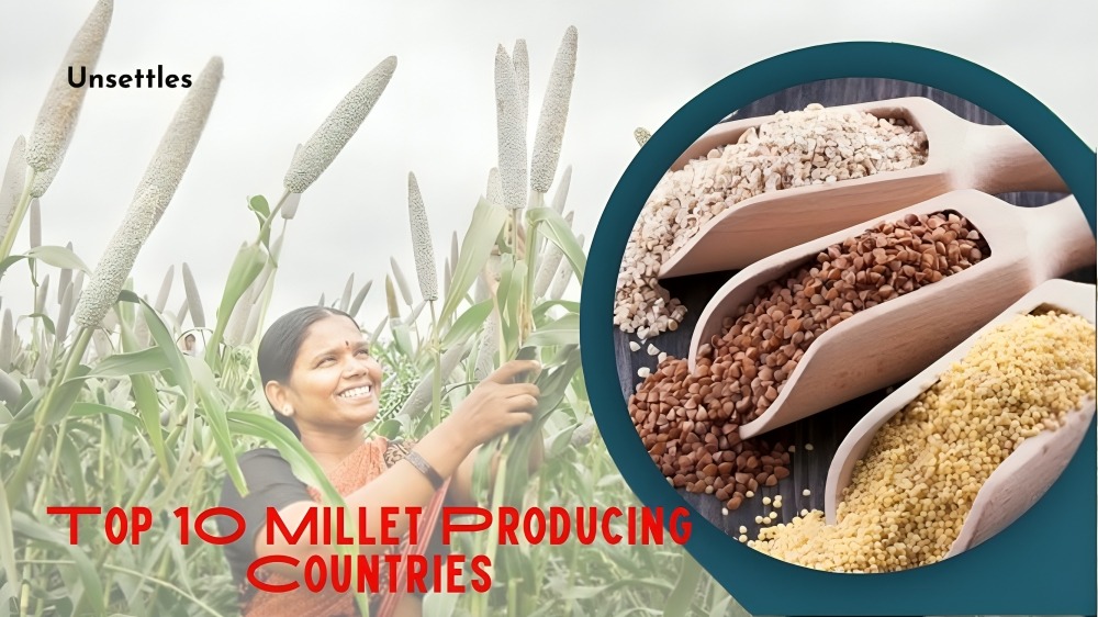 Top 10 Millet Producing Countries