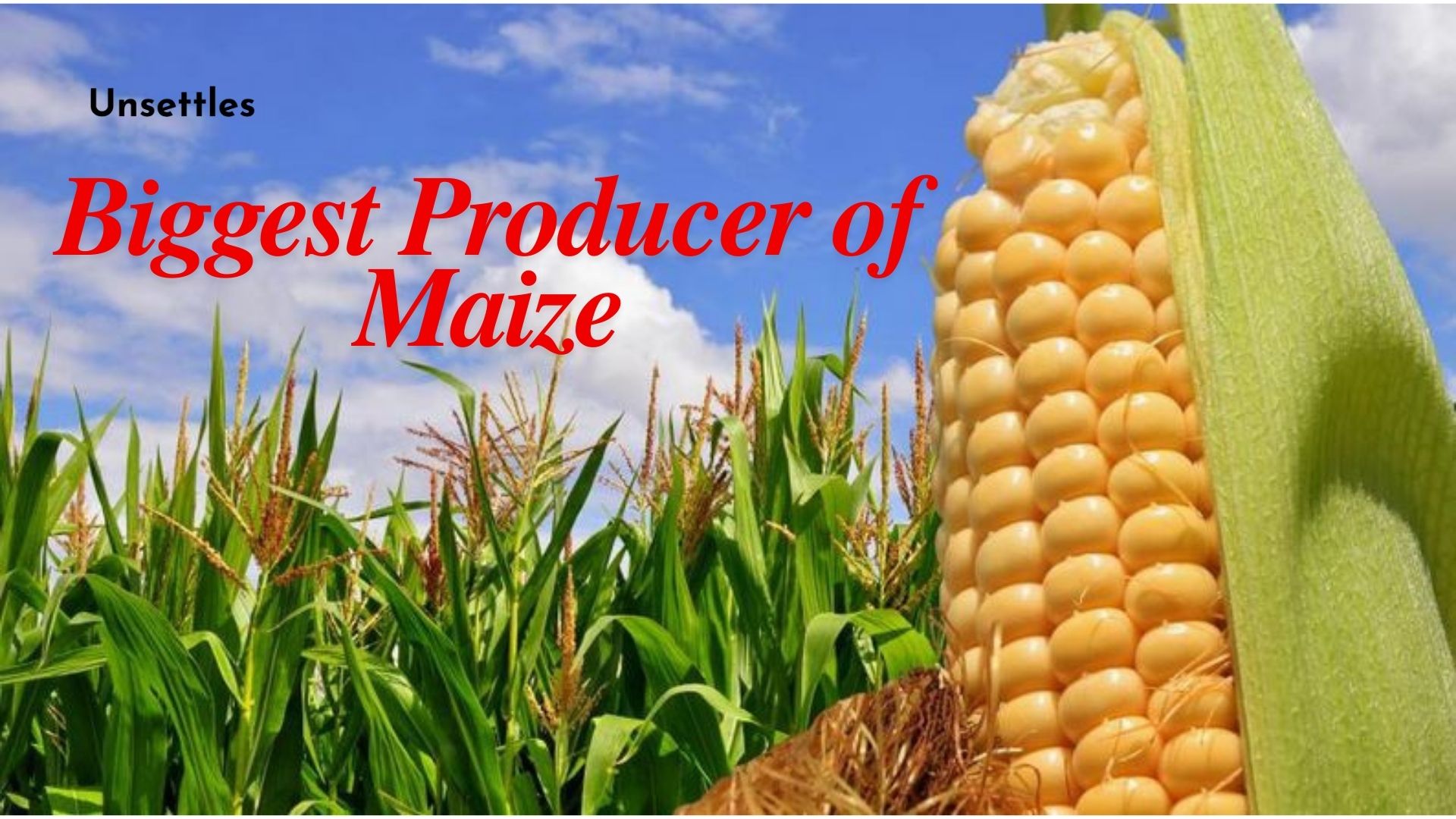 Biggest Producer of Maize