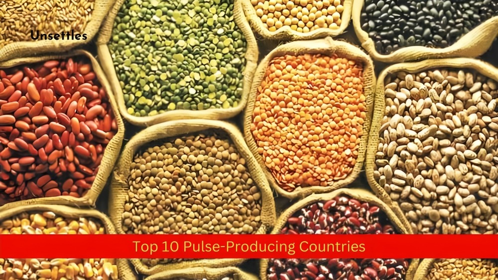 Top 10 Pulse-Producing Countries