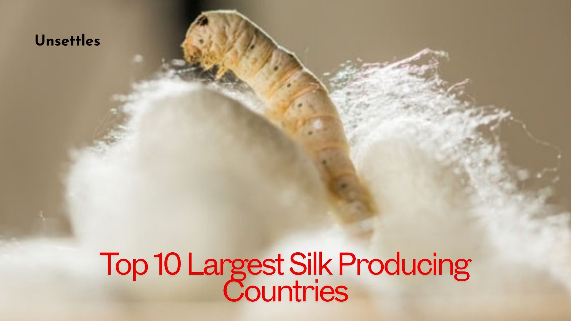 Top 10 Largest Silk Producing Countries