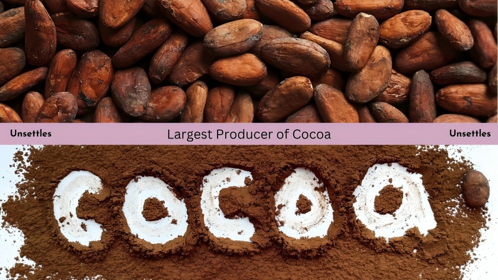 Largest Producer of Cocoa