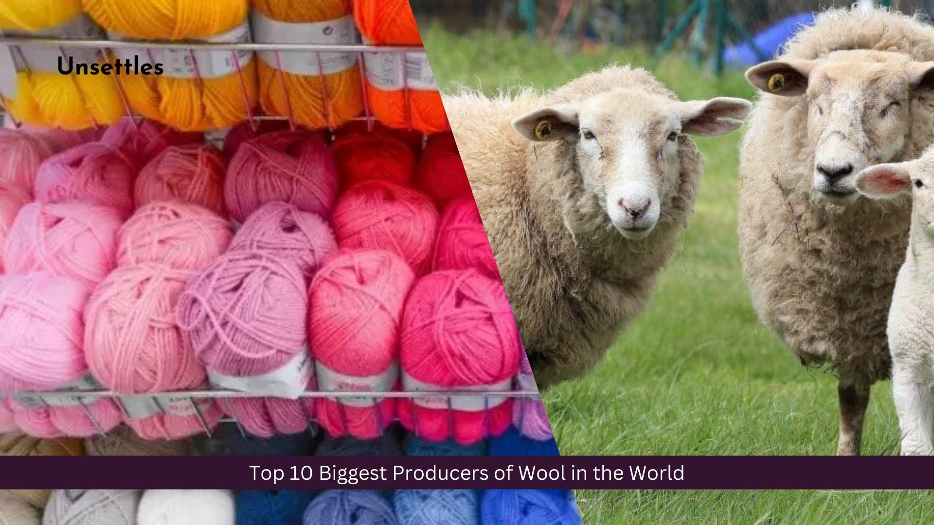 Top 10 Biggest Producers of Wool in the World